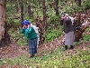Wom.en hauling fire wood that they have collected in the forest