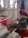 Woman weaving carpet, weaving coop, Ain Draham