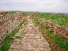 Roman road, , Bulla Regia