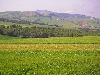 hills on road between Jendouba and El Kef