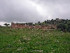 Ain Tonga Roman / Byzantine archeological site, theater