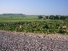 Tunisia farm near Teboursouk