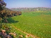 Tunisia farm near Teboursouk