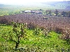 Tunisia farm near Teboursouk