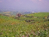 View of Mejerda River valley, bread basket of the Roman Empire