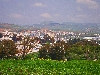 Beja