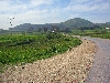 Road between Beja and Nafta