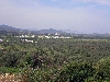 Chicken farm near Tabarka
