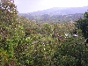 Valley in northern Tunisia