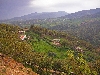Farm, sheep and valley, south of Tabarka