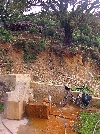Spring near Babouch, Tabarka-Ain Draham road