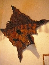 Macassin (wild boar), in the common room at "hunting lodge" (Beau Sejour Hotel), Ain Draham