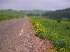 farmland, southern slope, Khroumirie Mountains
