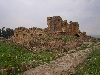 Bath of Julia Memmia, Bulla Regia