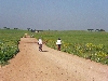 Bicycle tour to Hammam Mellegue