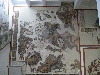 Damaged mosaic with the design drawn in.