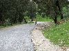 Road to Dougga archeological site