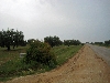 Kairouan - el Jem road, Tunisia