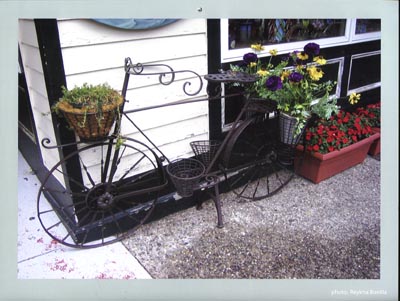 2007 Cycle & Re-Cycle Calendar