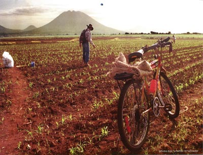 2007 Cycle & Re-Cycle Calendar
