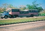 Camel bus, Havana, Cuba