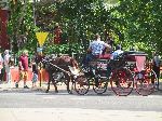 Horse drawn carriage, Havana, Cuba