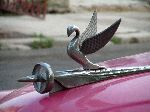 Hood orniment, Vintage classic automobile, Havana, Cuba