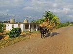 Horse cart, rural Pinar del Rio, Cuba
