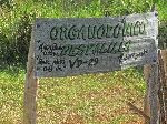 Organoponico Despalillo Zabaco Vinales, Porte Esperanza, Cuba
