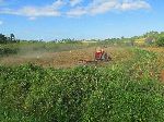 Organoponico Despalillo Zabaco Vinales, Porte Esperanza, Cuba
