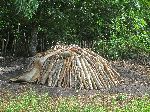Charcoal production, Pinar del Rio, Cuba
