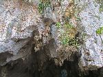 Cimarron Cave, Vinales, Pinar del Rio, Cuba