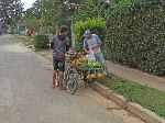 local town life, Vinales, Cuba