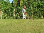 Mowing lawn, Cuba