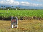 UEB (Unidades Empresariales de Base) sign, Cuba
