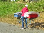 Selling bread from a bicycle, Cuba