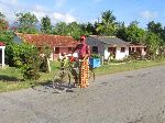Selling produce from a bicycle, Cuba