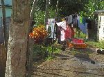Woman doing laundry, Cuba