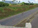 Bicyclist on Autopista, Pinar del Rio, Cuba