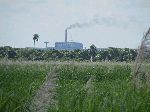 Sugar mill, Pinar del Rio, Cuba