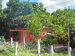 Grape arbor on roof, Cuba
