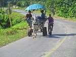 Man bicycling, Cuba