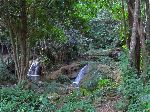 Soroa waterfall trail, Pinar del Rio, Cuba