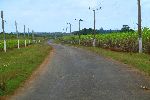 Country road, Matanzas Provence, Cuba