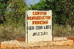 UEB, Cuba