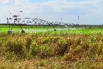 Large agricultural sprinkler system, Cuba