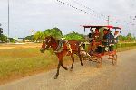 Non-motorized transportation, Jaguey Grande, Matanzas, Cuba