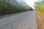 Road, Playa Giron, Cuba