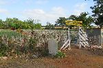 Organic farm, Babiney Prieto, Cuba