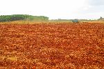 Tractor, Cuba